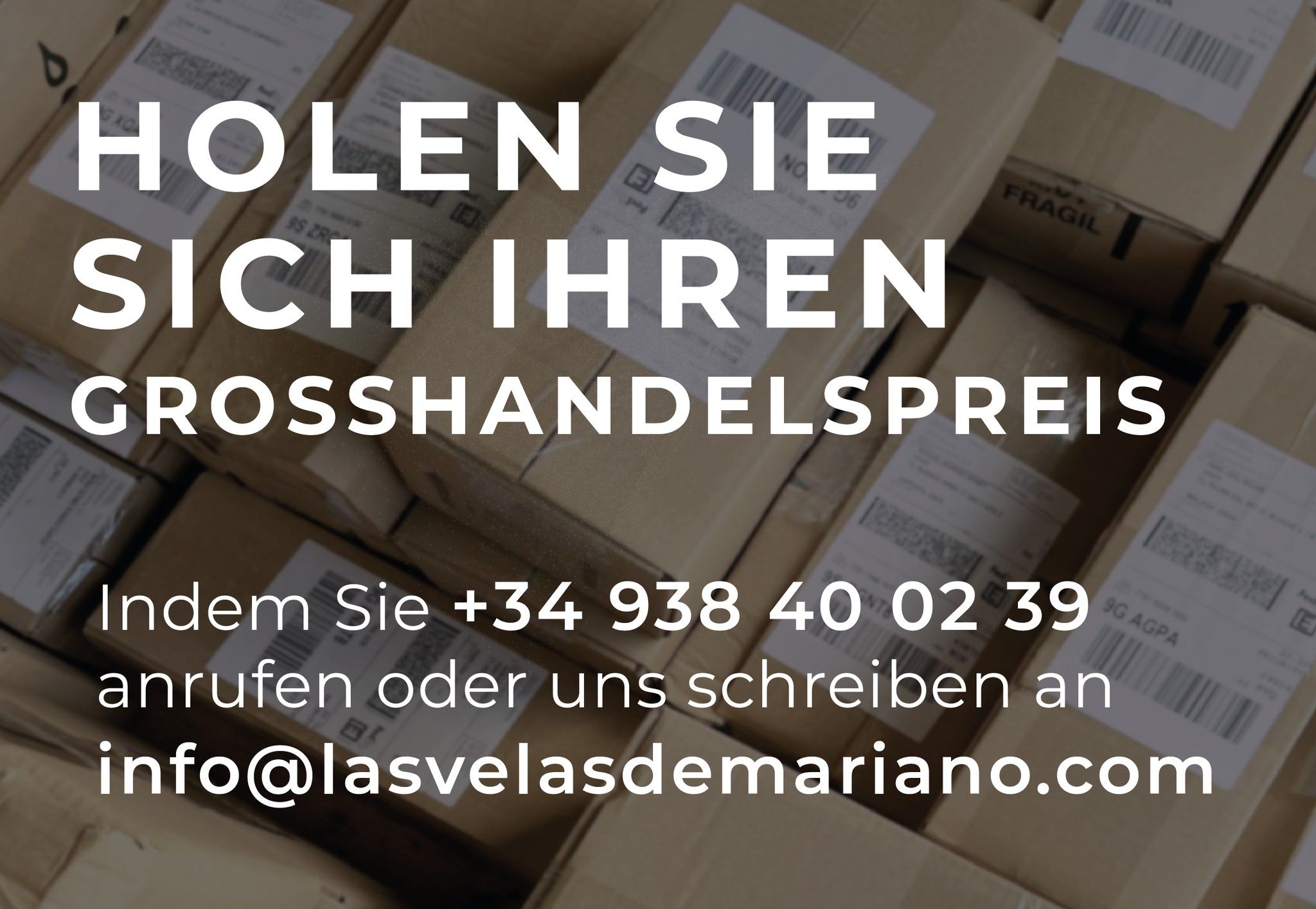 Setze dich mit uns in Verbindung, um Informationen über den Großhandel zu erhalten
