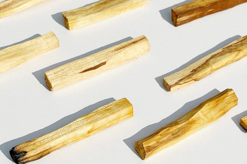 Guía sobre el PALOSANTO: todas las opciones para PURIFICAR tu hogar y mente 🍃✨