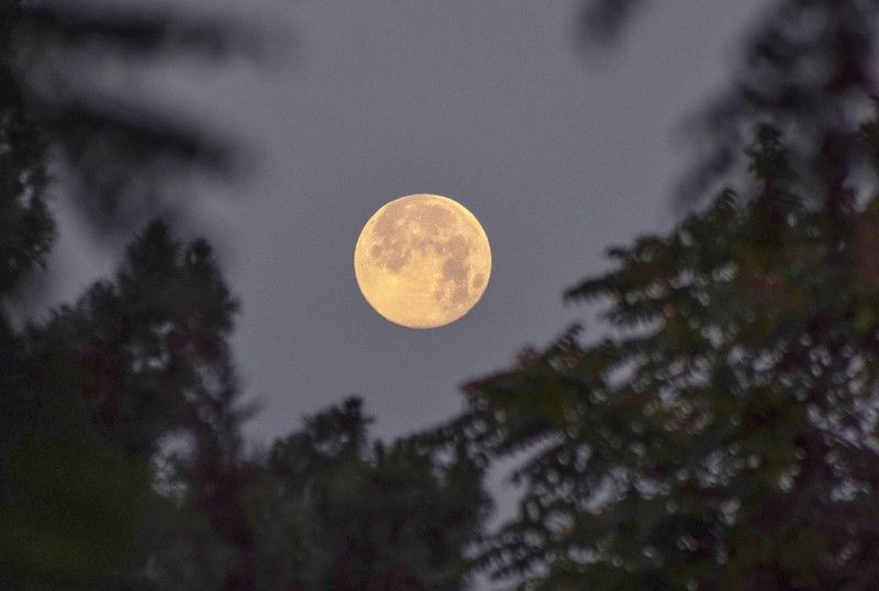 Ritual a la Luna Llena para conectar con tu energía interior🌕✨