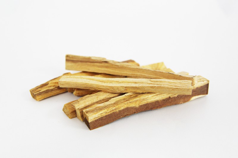 Descubre las Propiedades del Palo Santo y Cómo Usarlo para el Bienestar ✨🤌🏻