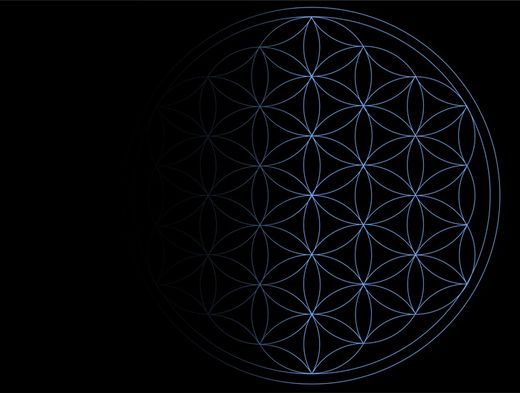 La Flor de la Vida 🌸 Geometría Sagrada