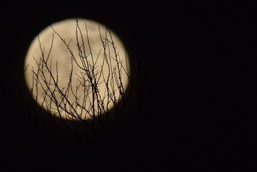 La Luna de Nieve despide febrero 🌕