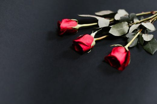 23 de Abril 🌹 Día de Sant Jordi: protección, fuerza y purificación