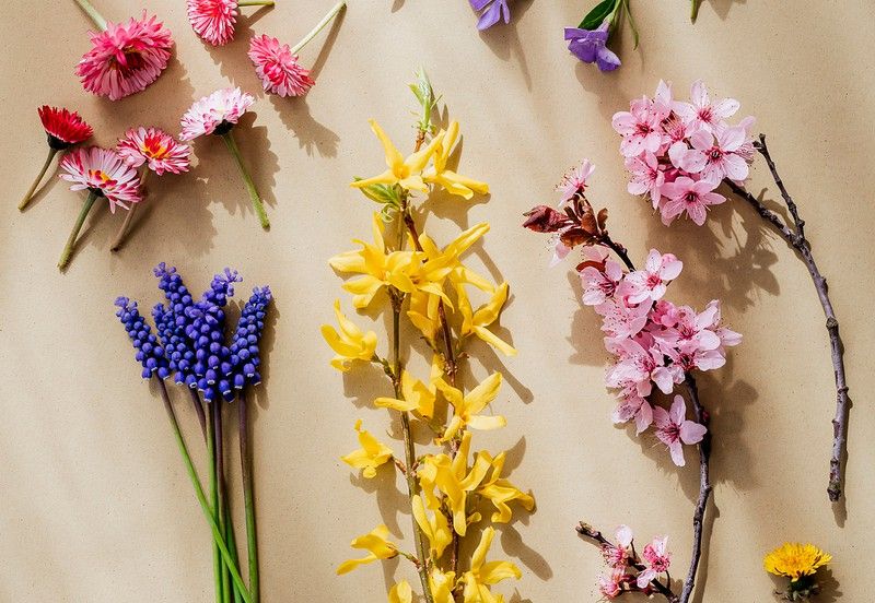 Aromas y velas: todos sus trucos y beneficios 🌸