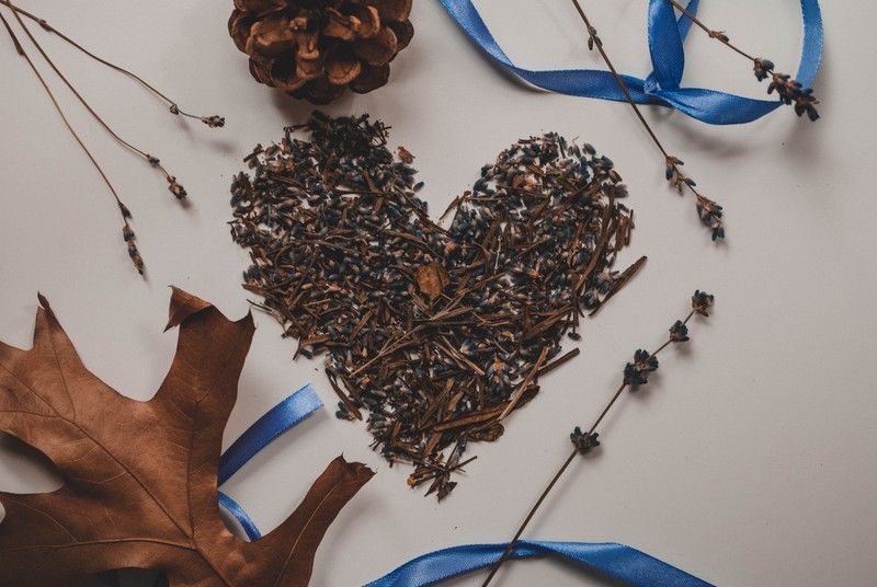 Lavanda para el amor