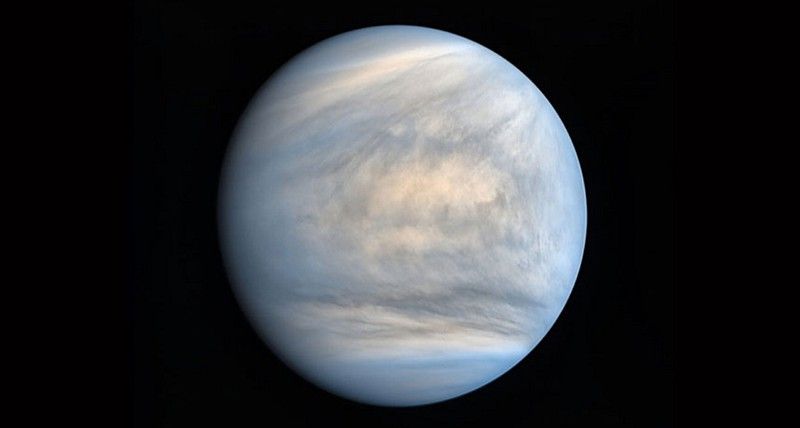 VENUS