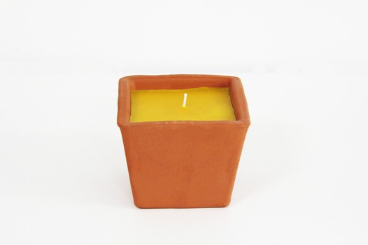 Citronella Square Pot