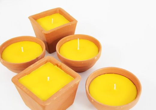 Productes de Citronel·la