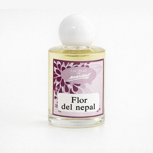 Essència Aroma