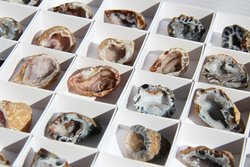 Mini Geoda de Quars Àgata