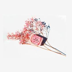 Sabó Artesanal Rosa Mosqueta