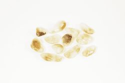 Mineral Rodat Citrí