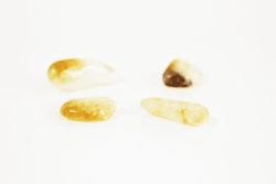 Mineral Rodat Citrí