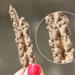 Pedra Llamp · Fulgurita Natural