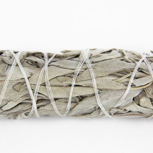 Ramillete de Salvia Blanca Grande