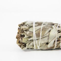Ramillete de Salvia Blanca Grande