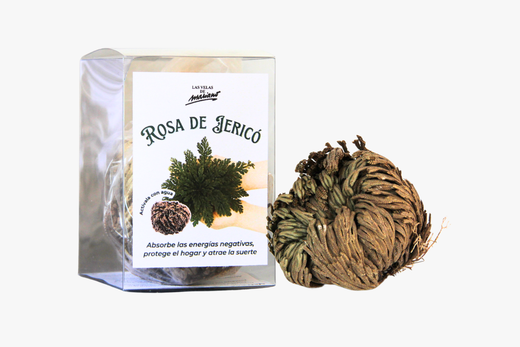 Rosa de Jericó