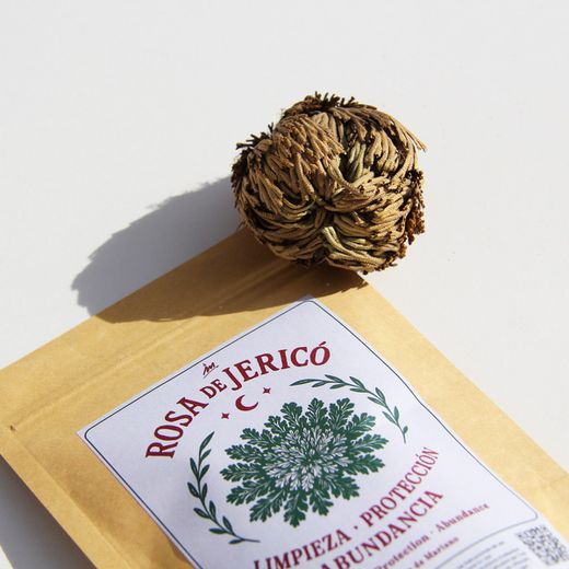 Rosa de Jericó