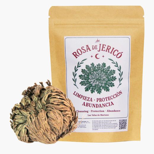 Rosa de Jericó