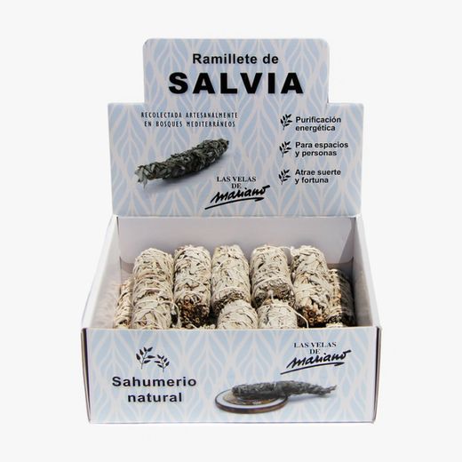 Ramillete de Salvia Blanca