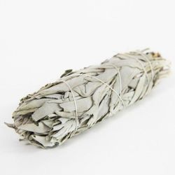 Super Ramillete de Salvia Blanca