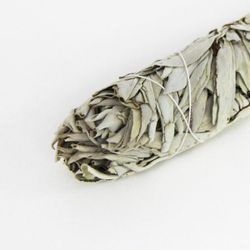 Super Ramillete de Salvia Blanca
