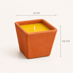 Test Quadrat de Citronel·la