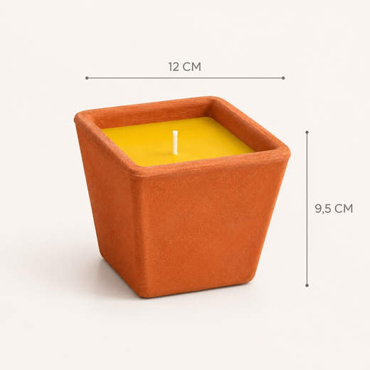 Test Quadrat de Citronel·la