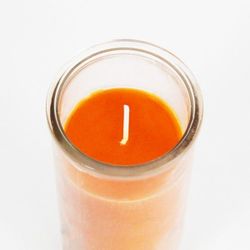 Vetlladora preparada Cornucòpia
