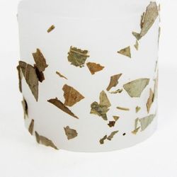 Veló Herbes Medicinals Eucaliptus
