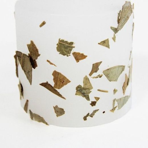 Veló Herbes Medicinals Eucaliptus