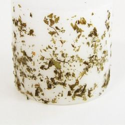 Velon Hierbas Medicinales Perejil